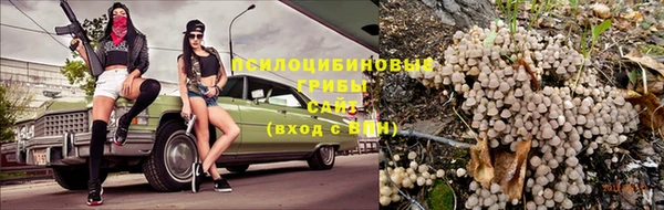 ешки Алзамай