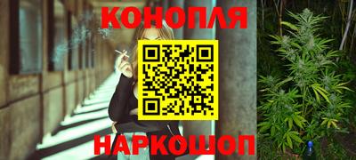 крисы Славгород