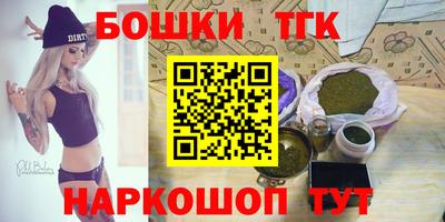 крисы Славгород