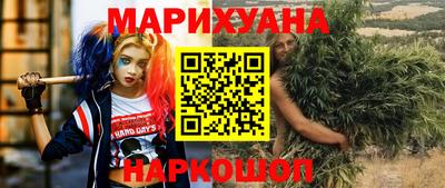 крисы Славгород