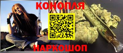 крисы Славгород