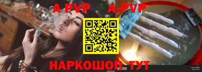 крисы Славгород