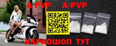 хмурый Сланцы