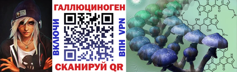 Галлюциногенные грибы Psilocybe  даркнет сайт  ссылка на мегу рабочий сайт  darknet состав  Ревда 