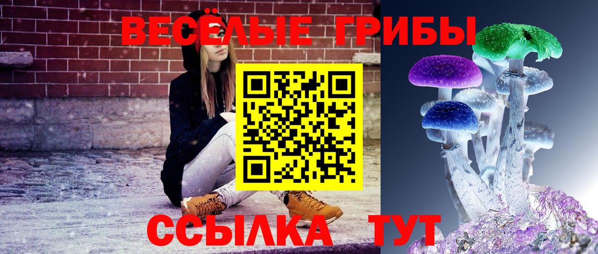 Галлюциногенные грибы Cubensis Ревда