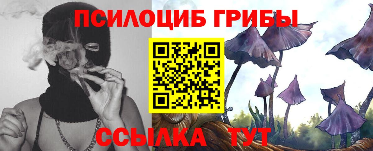 купить   Галлюциногенные грибы MAGIC MUSHROOMS  Галлюциногенные грибы мицелий  Вход с VPN  Ревда 